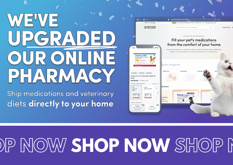 Carousel Slide 4: Online Pharmacy >